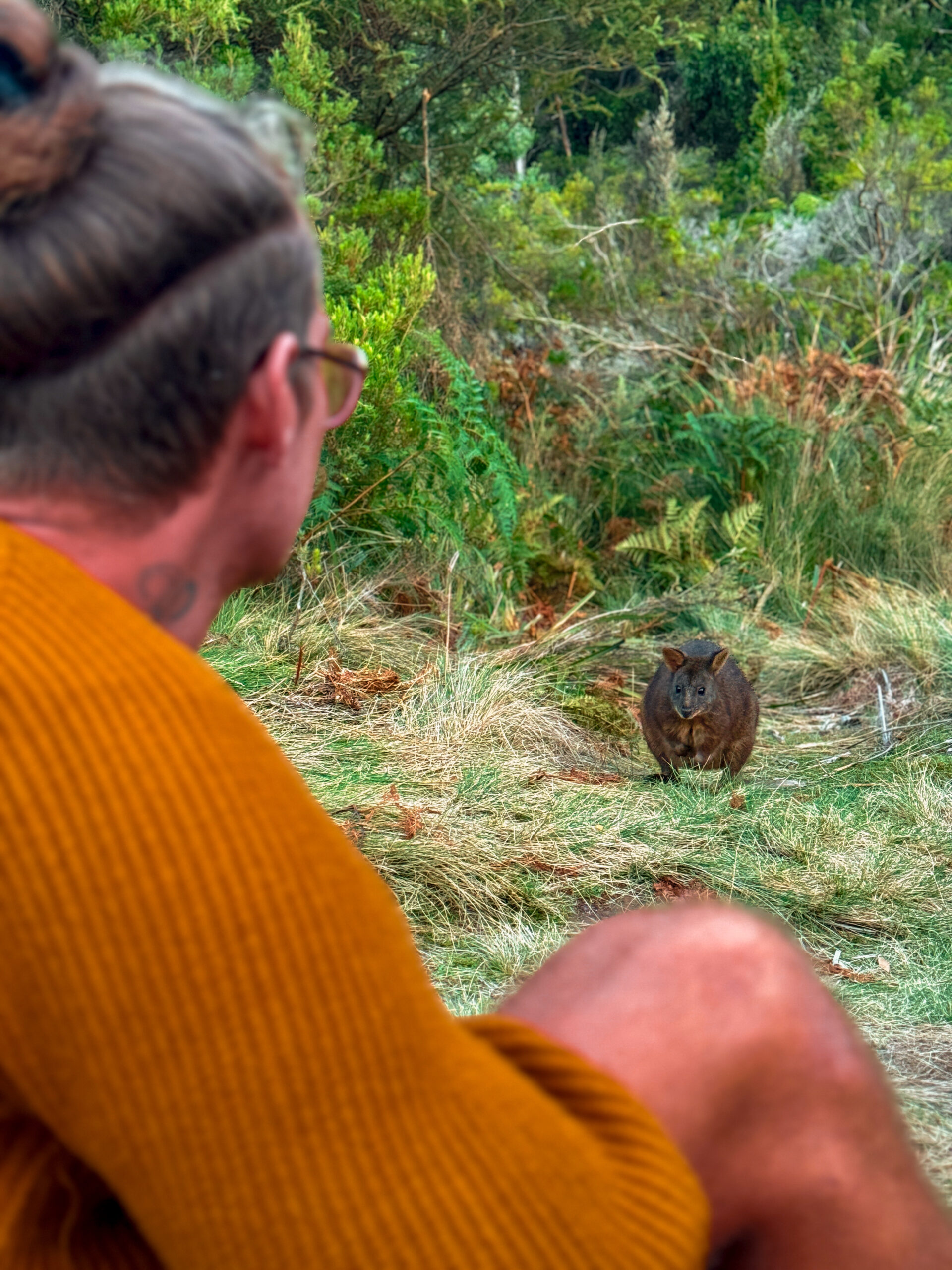 camping in Tasmania at cockle creek