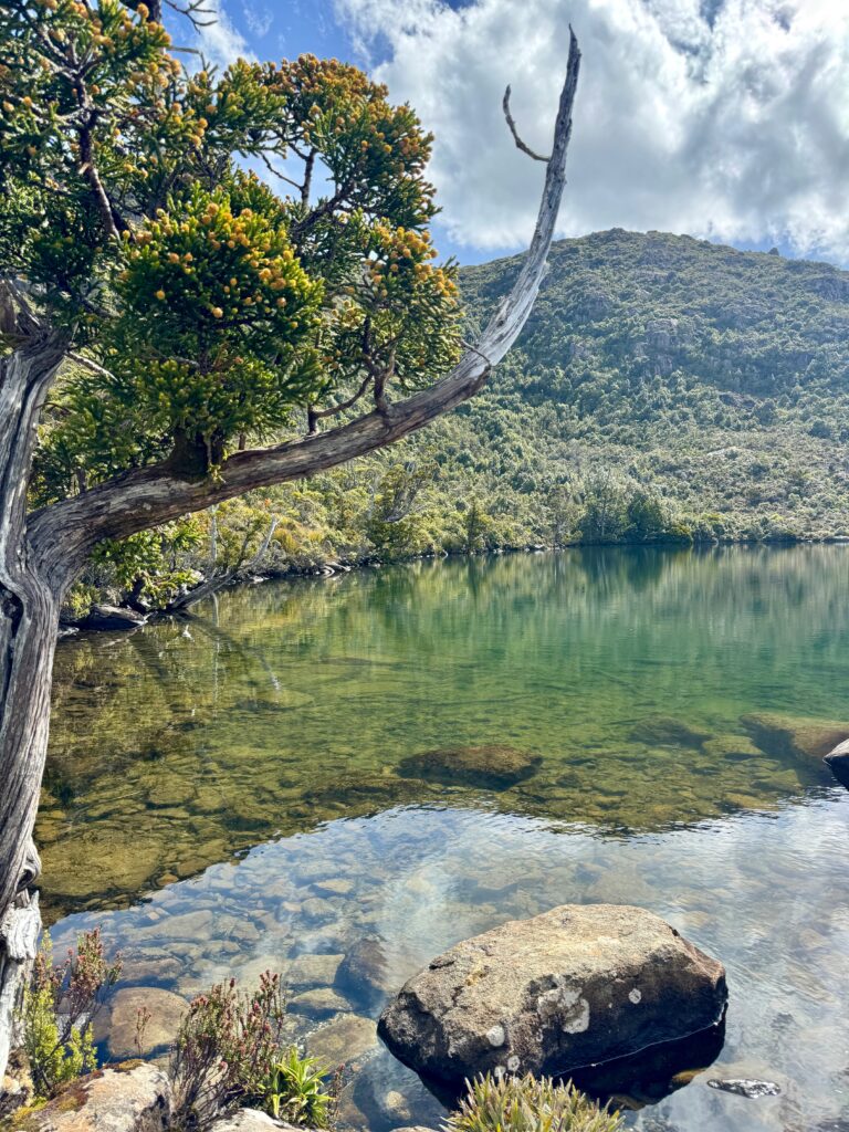 lake osborne