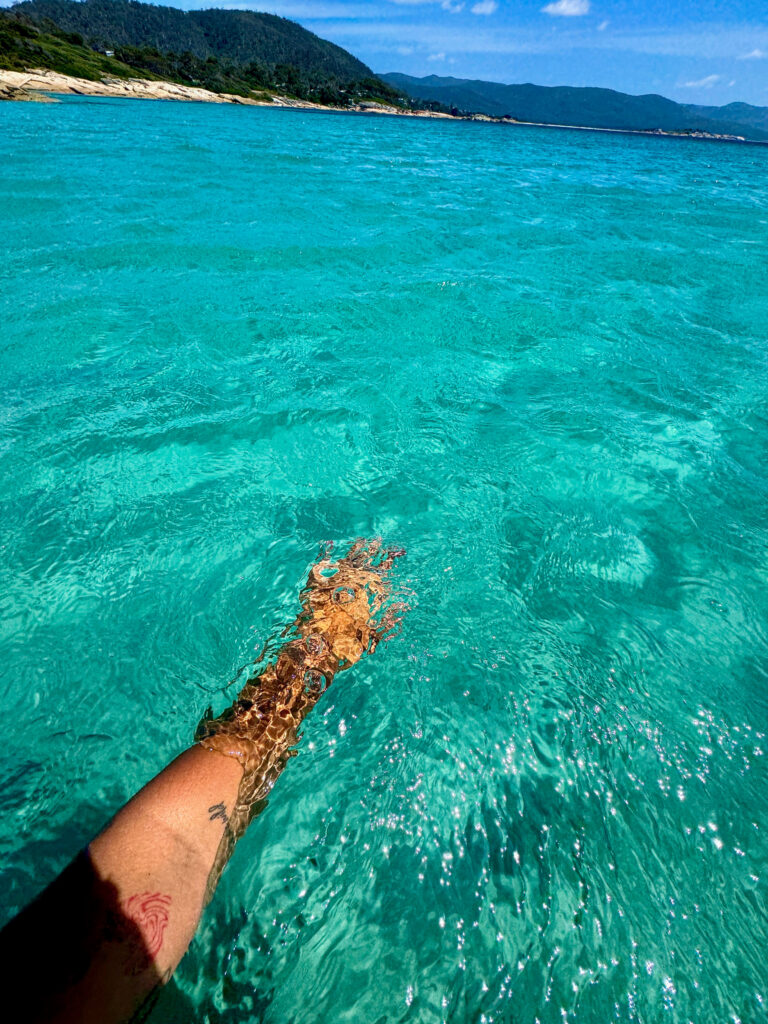 swimming in tasmania at waubs bay