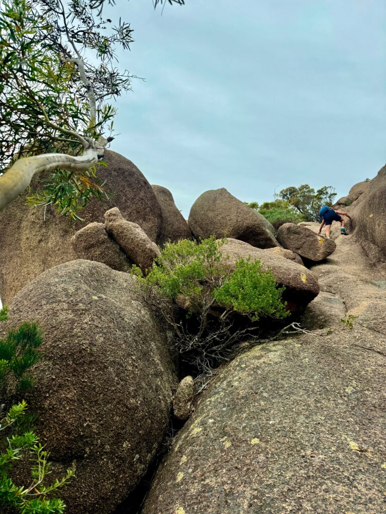 rocking scramble heading up mount amos